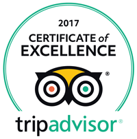 Certificate of Excellence 2017 Logo